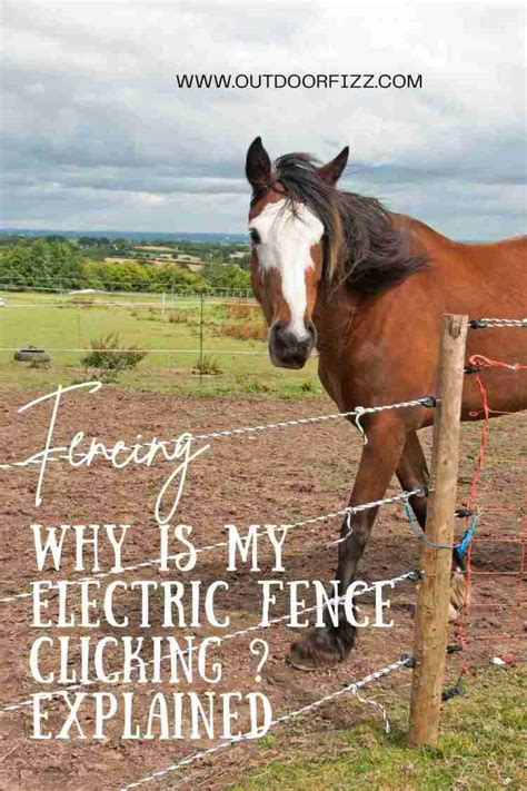 electric fence box clicking|why do electric fences click.